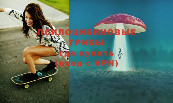 эйфоретик Заволжье