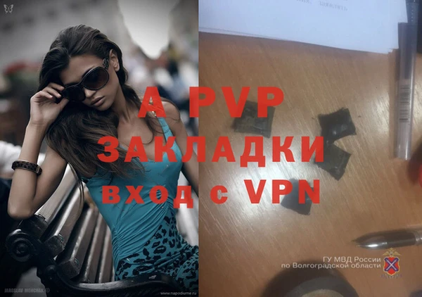 эйфоретик Заволжье