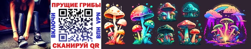 что такое наркотик  Копейск  Псилоцибиновые грибы Magic Shrooms 